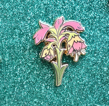 Load image into Gallery viewer, Kaveh Scrapbook Fillers
